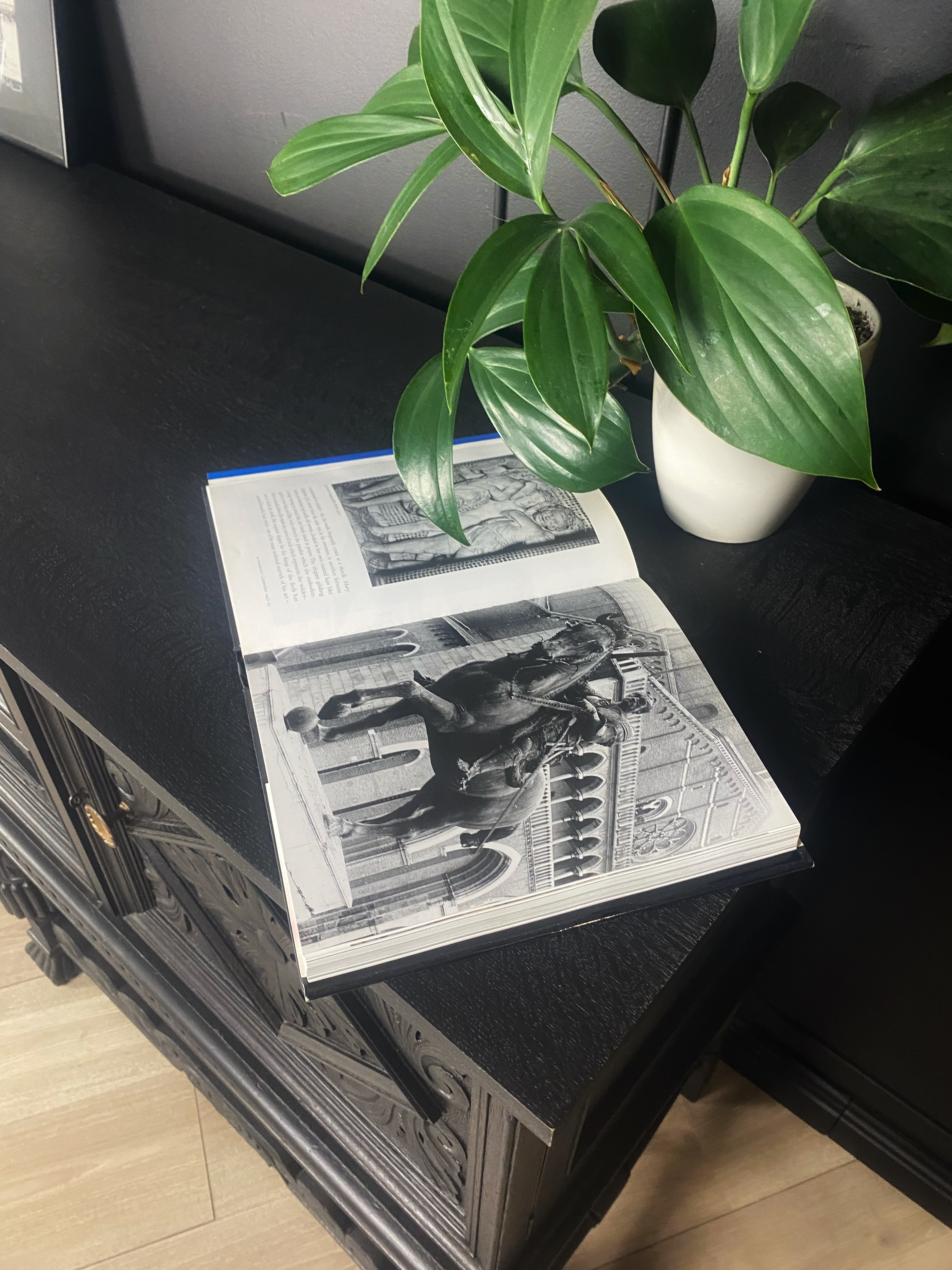 Stunning Jacobean black washed buffet