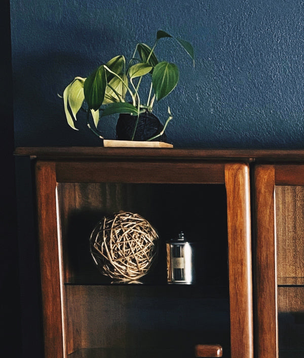 Mid-century bookcase, view 2